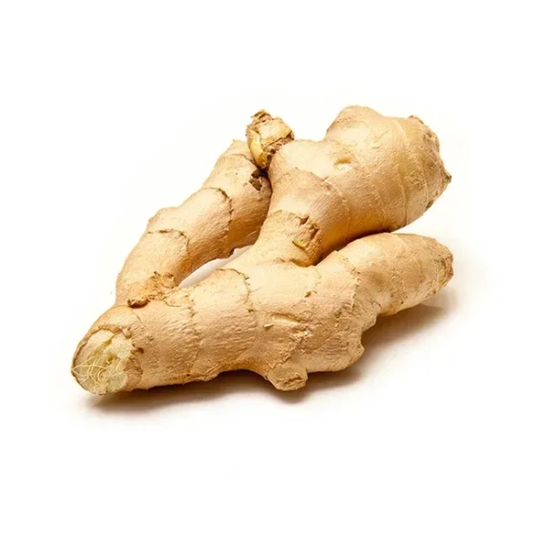 Ginger - 