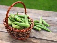 Lady Finger - 