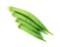 Lady Finger - 