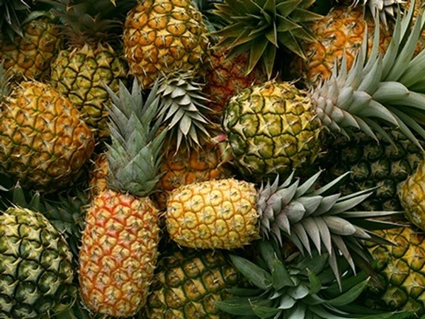 Pineapple 