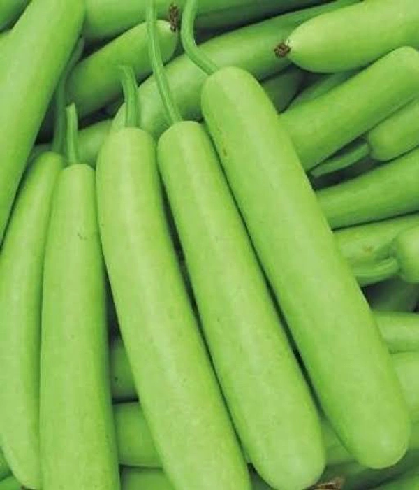 bottle gourd - 1kg