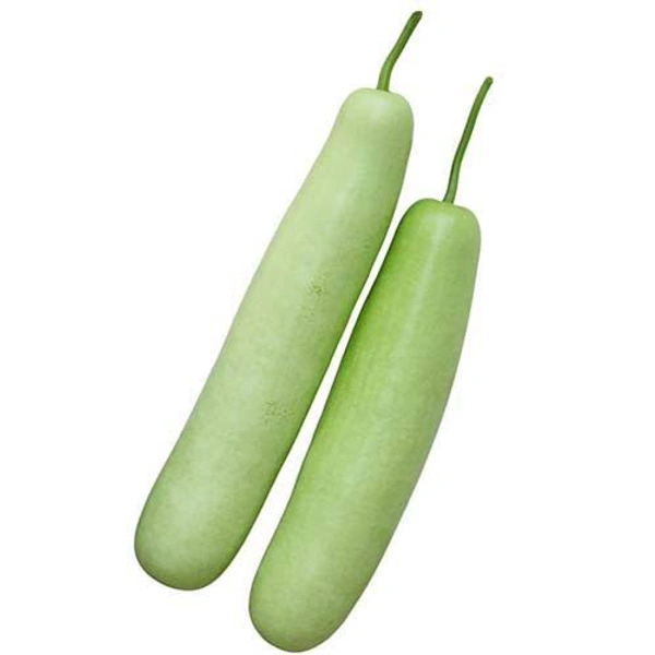 bottle gourd - 1kg