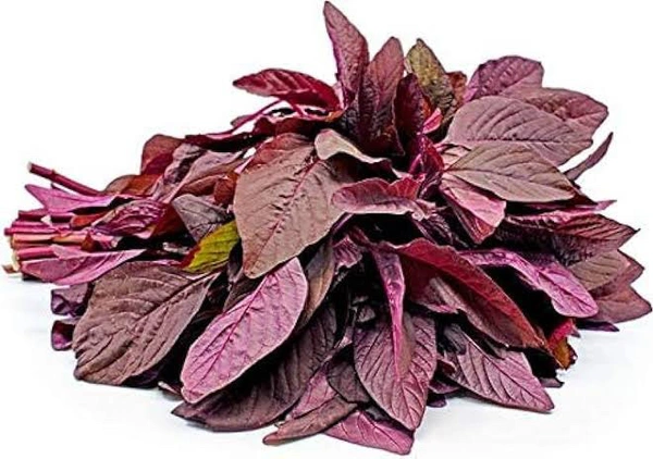 Chaurai Saag - 
