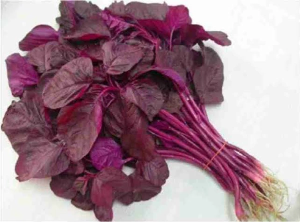 Chaurai Saag - 1.5kg