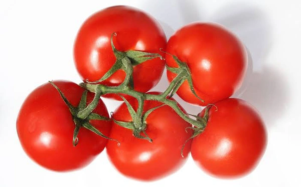 Tomato  - 