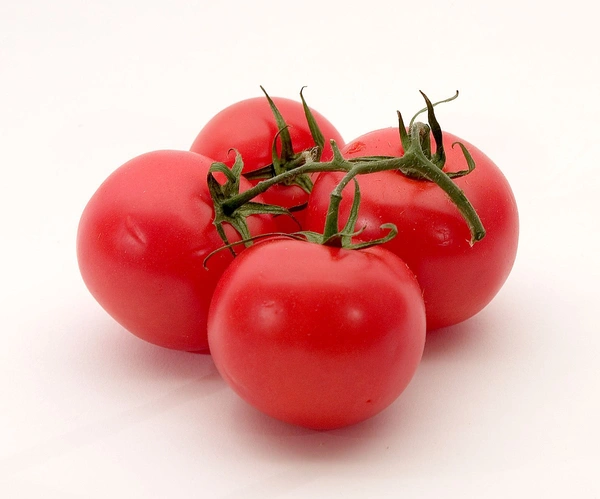 Tomato  - 