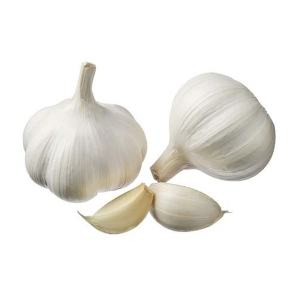 Garlic -  - 