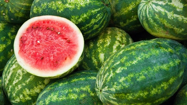 Watermelon 