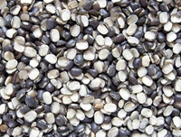 Urdi Dal - 1kg