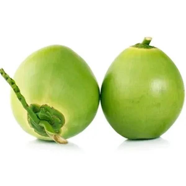 Water Coconut 