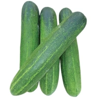 Cucumber  - 1Kg