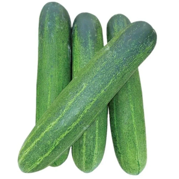 Cucumber  - 1Kg