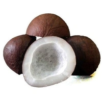 Gari - 