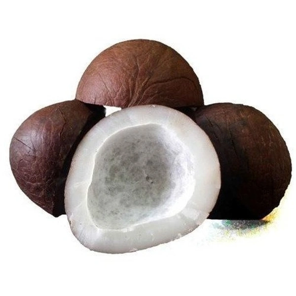 Gari - 