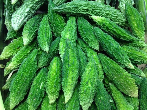 Bitter Gourd - 1kg