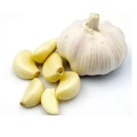 Garlic -  - 