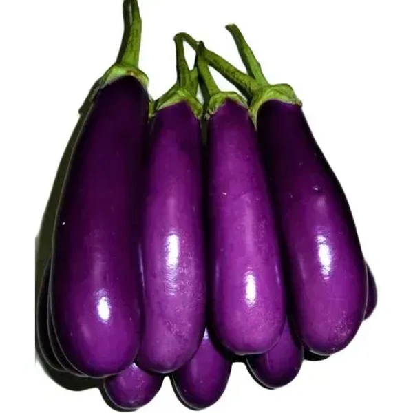 Brinjal - 