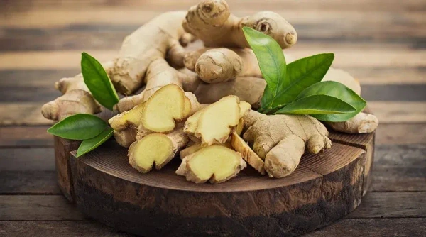 Ginger - 
