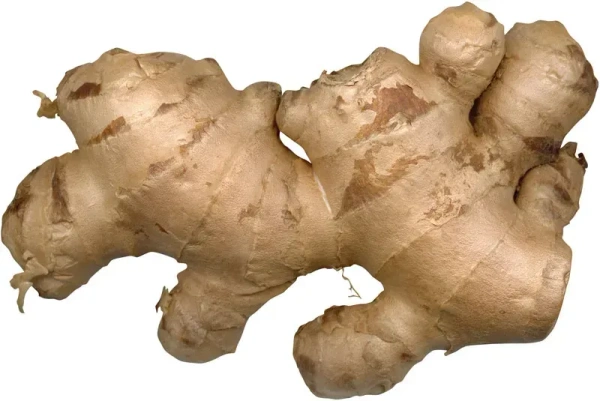 Ginger - 