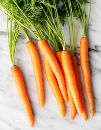 Carrot