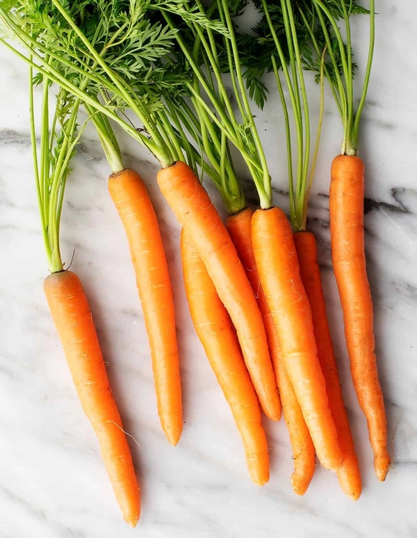 Carrot