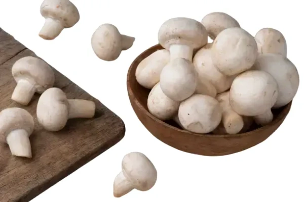 Mushroom