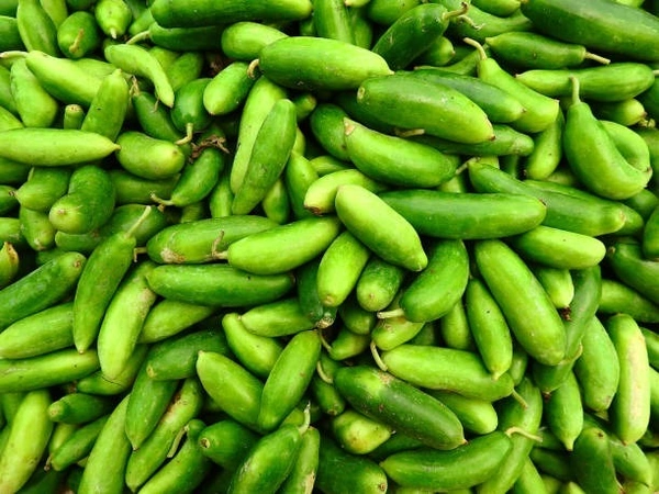 Kundru - 