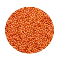 Masoor Dal - 