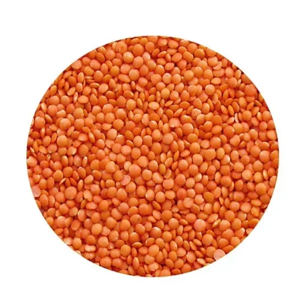 Masoor Dal - 