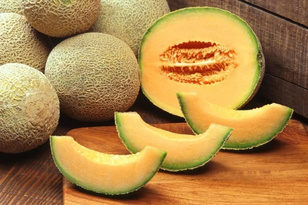 Muskmelon 