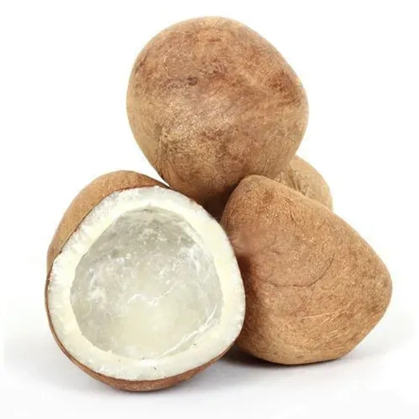 Gari - 