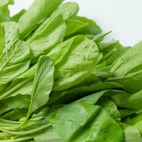 Palak - 1kg