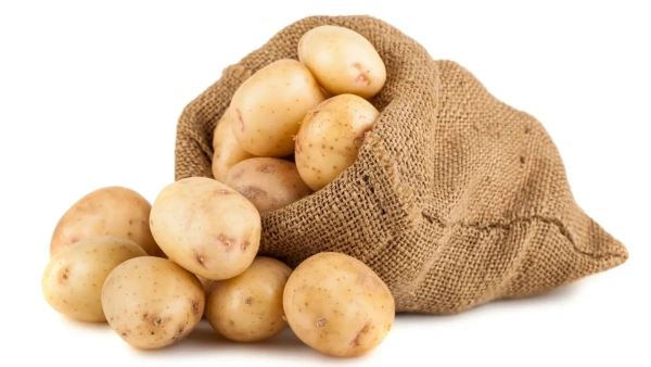 Potato  - 