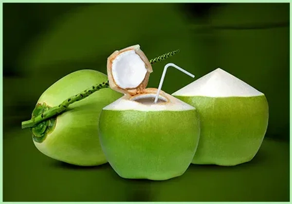 Water Coconut 