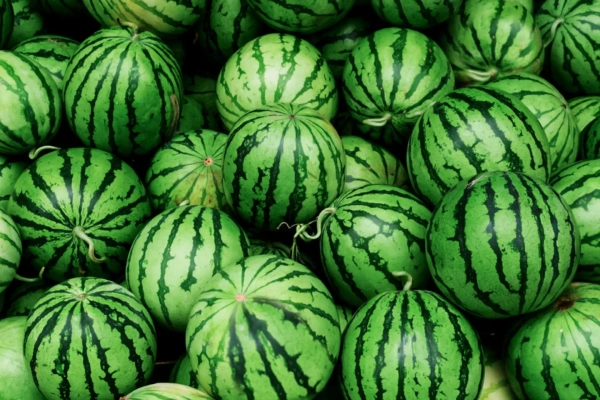 Watermelon 