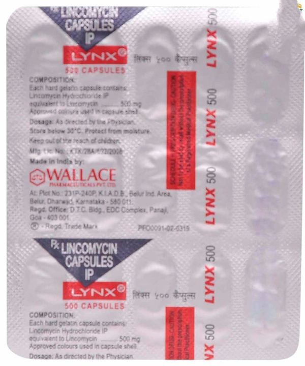 Lynx 500 Capsule