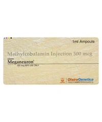 Meganeuron Injection