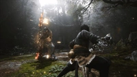 Black Myth Wukong (SAOA)