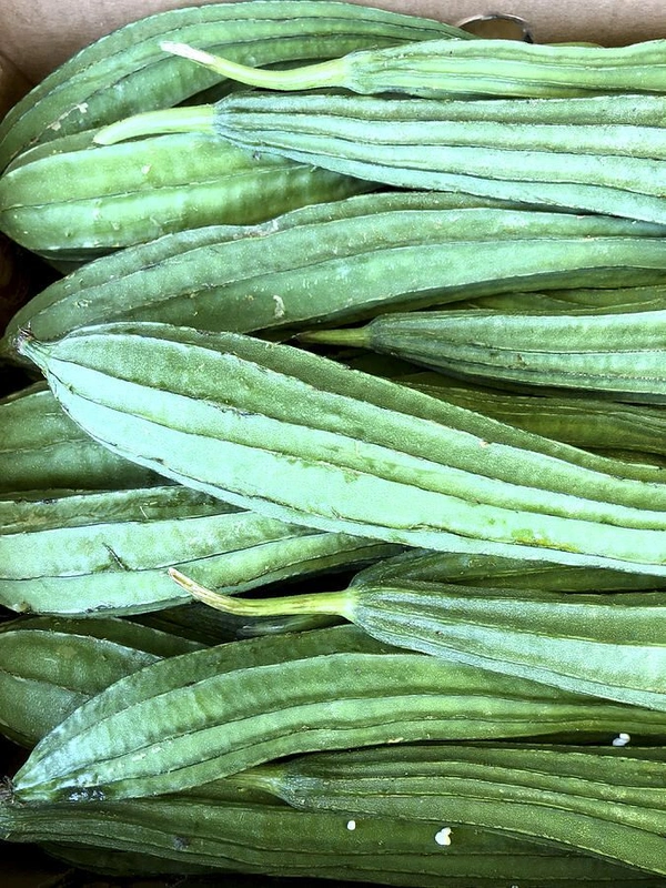 Ridge Gourd दोडके  - White, 250gm