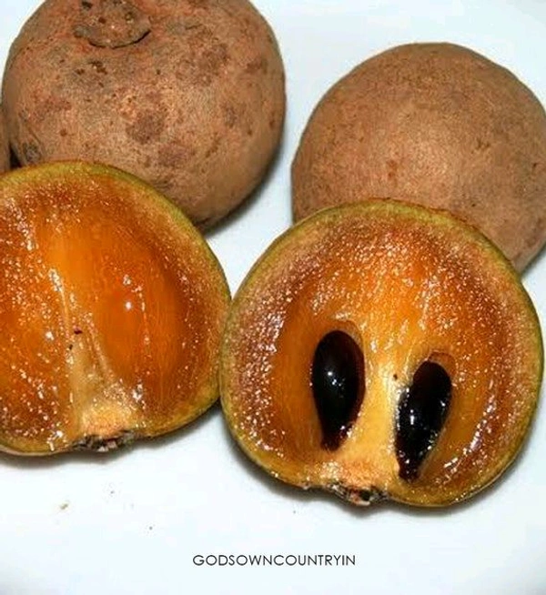 Chikoo चिकू  - 500gm