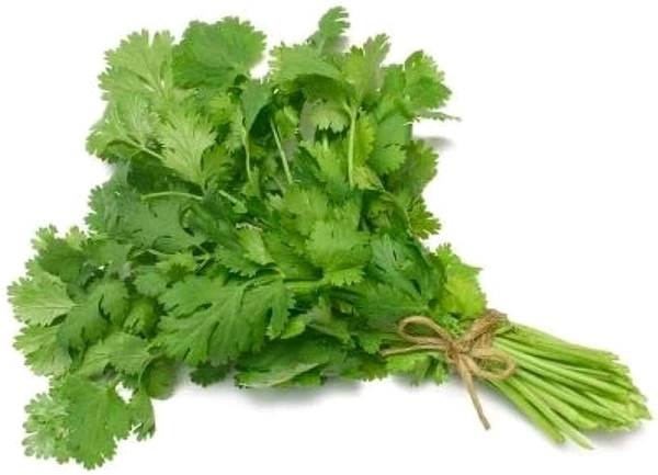 Coriander कोथींबीर  - 1 पेंडी
