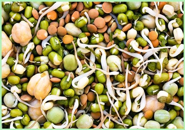 Mix Sprouts मिक्स मोड  - 200 Gm