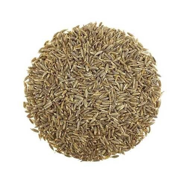 Cumin Seeds / Gota Jeera - 1.Kg