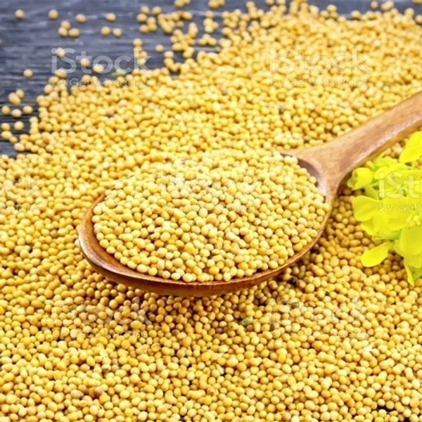 Sinapis alba / Yellow Mustard - 1.Kg