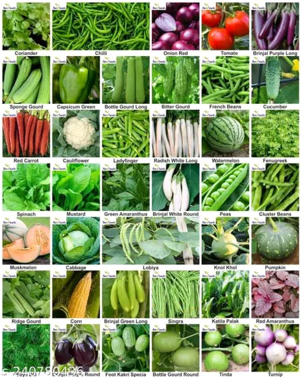 40 Vareities Of Vegetable Seeds
