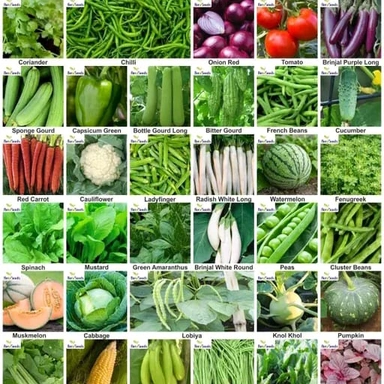 Vegetable Seeds