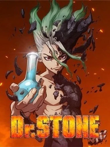 Dr. Stone