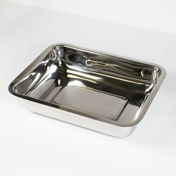 Indian  Instrument Tray SS