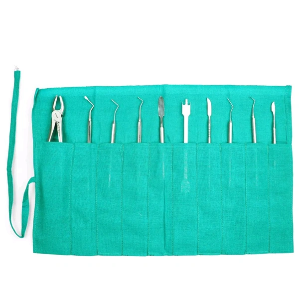 Indian  Instrument Pouch Cloth Type - Teal