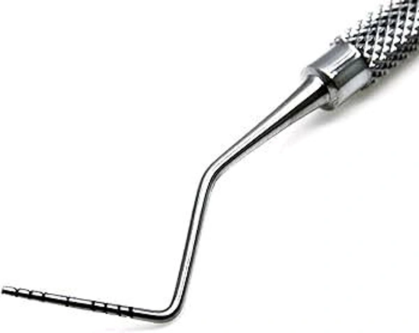 Jennen  Williams Probe Imported 